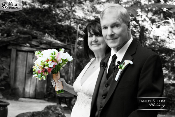Read more about the article Tom and Sandy’s Wedding